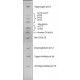 IEF mišinys 3.6-9.3 liofilizuoti milteliai liofilizuoti milteliai
