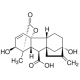 GIBBERELLIC ACID PLANT CELL*CULTURE TEST 