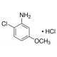 3-(1,3-Dioksolan-2-il)fenilboro rūgšties pinakolio esteris, 