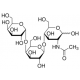 P1-Antigen,P1-Antigen 