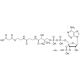 Malonilo kofermento A ličio druska >=90% (HPLC) >=90% (HPLC)