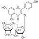 Kaemferolio 3-O-beta-rutinozidas >=98.0% (HPLC) >=98.0% (HPLC)