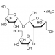 D-PLUS-MELEZITOSE HYDRATE 