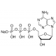 2'-Deoksiadenosino- 5'-trifosfato natrio druskos tirpalas, 100 mM, pH 7,