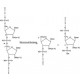 NUCLEASE, MICROCOCCAL FROM*STAPHYLOCOCCU S AUREUS 