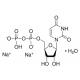 URIDINE 5'-DIPHOSPHATE DISODIUM SALT HYDRATE >= 96.0% (HPLC) 