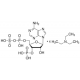 Adenozino 3'-Fosfato 5'-Fosfosulfato trietilamonio druska, >=95.0% (HPLC), >=95.0% (HPLC)