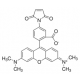 TETRAMETHYLRHODAMINE-5-MALEIMIDE SUITABLE FOR FLUORESCENCE, >= 85% (HPLC) 