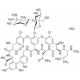 VANCOMYCIN HYDROCHLORIDE FROM STREPTOMYC 