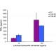 Lipopolisaharidai iš Escherichia coli 055:B5 grynintas su jonų mainų chromatografija, TLR ligandas tikrinti grynintas su jonų mainų chromatografija, TLR ligandas tikrinti
