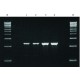 REDTAQ GENOMIC DNA POLYMERASE 