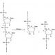 DEOXYRIBONUCLEASE I, BOVINE RECOMBINANT 