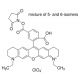 Atto 565 NHS esteris BioReagent, tinkamas fluorescencijai, >=70.0% (susijugęs su aminais) BioReagent, tinkamas fluorescencijai, >=70.0% (susijugęs su aminais)