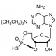 RP-ADENOSINE 3',5'-CYCLIC MONOPHOSPHOROT 