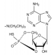 SC-CAMPS TRIETHYLAMINE (SP-ADENOSINE-3', 