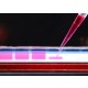 RED TAQ DNA POLYMERASE 