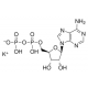 Adenozino 5-difosfato monokalio drusos dihidratas, bakterinis, >=95%, kristalinis, bakterinis, >=95%, kristalinis