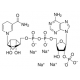 beta-nikotinamido adenino dinukleotido 2'-fosfato redukuota tetranatrio druskos hidratas >=95% (HPLC) >=95% (HPLC)
