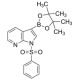 1-(fenilsulfonil)-7-azaindol-3-boro rūgšties pinakolio esteris, 95%, 95%,