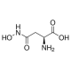 L-Asparto rūgšties beta-hidroksamatas serino racemazės inhibitorius serino racemazės inhibitorius