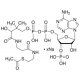 Acetil coenzimo A natrio druska, >=93% (HPLC), milteliai, >=93% (HPLC), milteliai