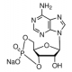 Adenozinas 3',5'-ciklinio monofosfato natrio druskos monohidratas, >=98.0% (HPLC), milteliai, >=98.0% (HPLC), milteliai