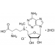 S-(5'-ADENOSYL)-L-METHIONINE CHLORIDE DI 