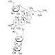 NOTOGINSENOSIDE R1 FROM PANAX NOTOGINSEN 