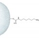 OMEGA-AMINOHEXYL-AGAROSE 