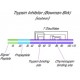 TRYPSIN-CHYMOTRYPSIN INHIBITOR FROM*SOYB EAN 