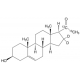 PREGNENOLONE-20,21-13C2-16,16-D2, 98 AT& 