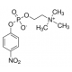 P-NITROPHENYLPHOSPHORYL CHOLINE 