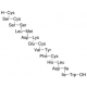 ENDOTHELIN 1 HUMAN, PORCINE 