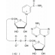 beta-nikotinamido adenino dinukleotido ličio druska iš Saccharomyces cerevisiae >=95% >=95%