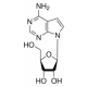 TUBERCIDIN FROM STREPTOMYCES*TUBERCIDICU S 
