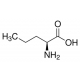 L-Norvalinas arginazės inhibitorius arginazės inhibitorius