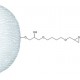 EPOXY-ACTIVATED CROSS-LINKED 4% BEADED*A GAROSE 