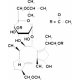 FUSICOCCIN FROM FUSICOCCUM AMYGDALI 