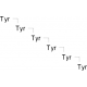 TYR-TYR-TYR-TYR-TYR-TYR 