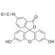 FLUORESCEIN ISOTHIOCYANATE ISOMER*I ON C 