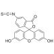 Fluoresceino izotiocianatas, 90%, milteliai, 50mg 