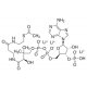 Acetilo kofermento A ličio druska, >=93% (HPLC), >=93% (HPLC)