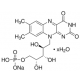 FLAVIN MONONUCLEOTIDE SODIUM 