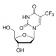 TRIFLUOROTHYMINE DEOXYRIBOSIDE 