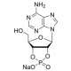 Adenozino 2':3'-ciklinio monofosfato natrio druska, >=97%, >=97%