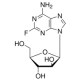 2-fluoradenin-9-beta-D-arabinofuranozidas, DNR sintezės ir metilinimo inhibitorius, DNR sintezės ir metilinimo inhibitorius,