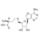 S-ADENOSYL-L-HOMOCYSTEINE 
