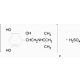 TERBUTALINE HEMISULFATE 