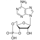 Adenozinas 3',5'-ciklinio monofosfatas >=98.5% (HPLC), milteliai >=98.5% (HPLC), milteliai