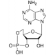 Adenozinas 3',5'-ciklinio monofosfatas, >=98.5% (HPLC), milteliai,